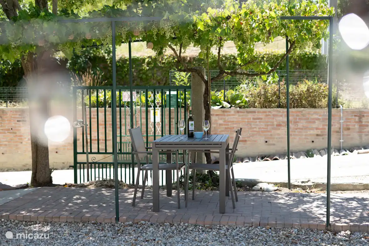 Ein Glas Wein unter den Weinreben. Romantik fegt über unser Anwesen.