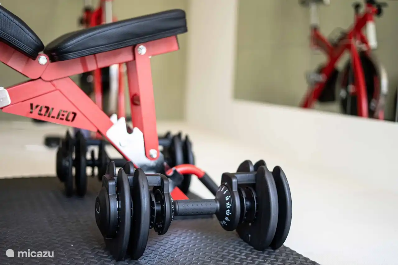 Gym - gezamenlijk gebruik. We hebben maximaal 4 gasten. Kleinschalig. 