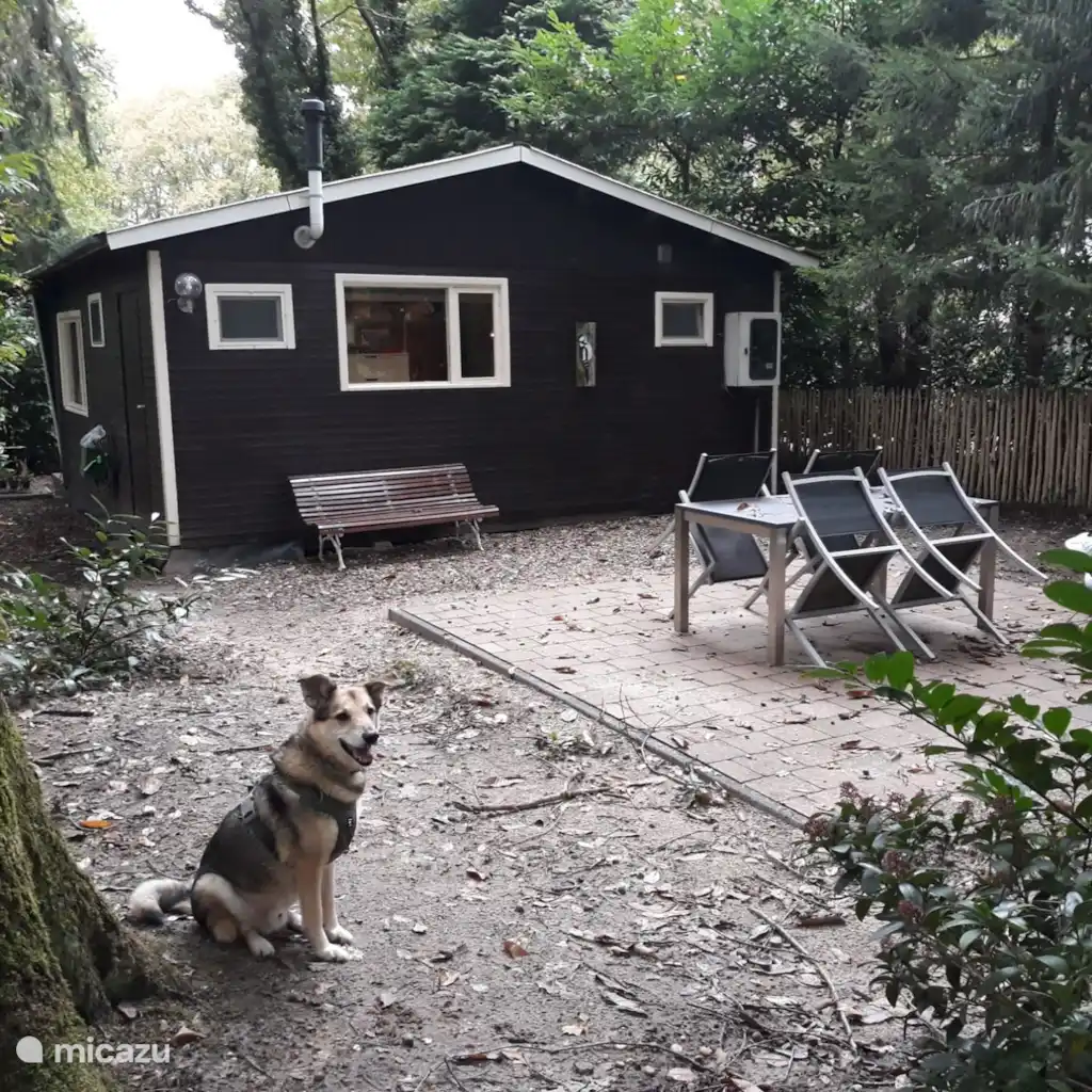 Chalet "Klein Geluk"