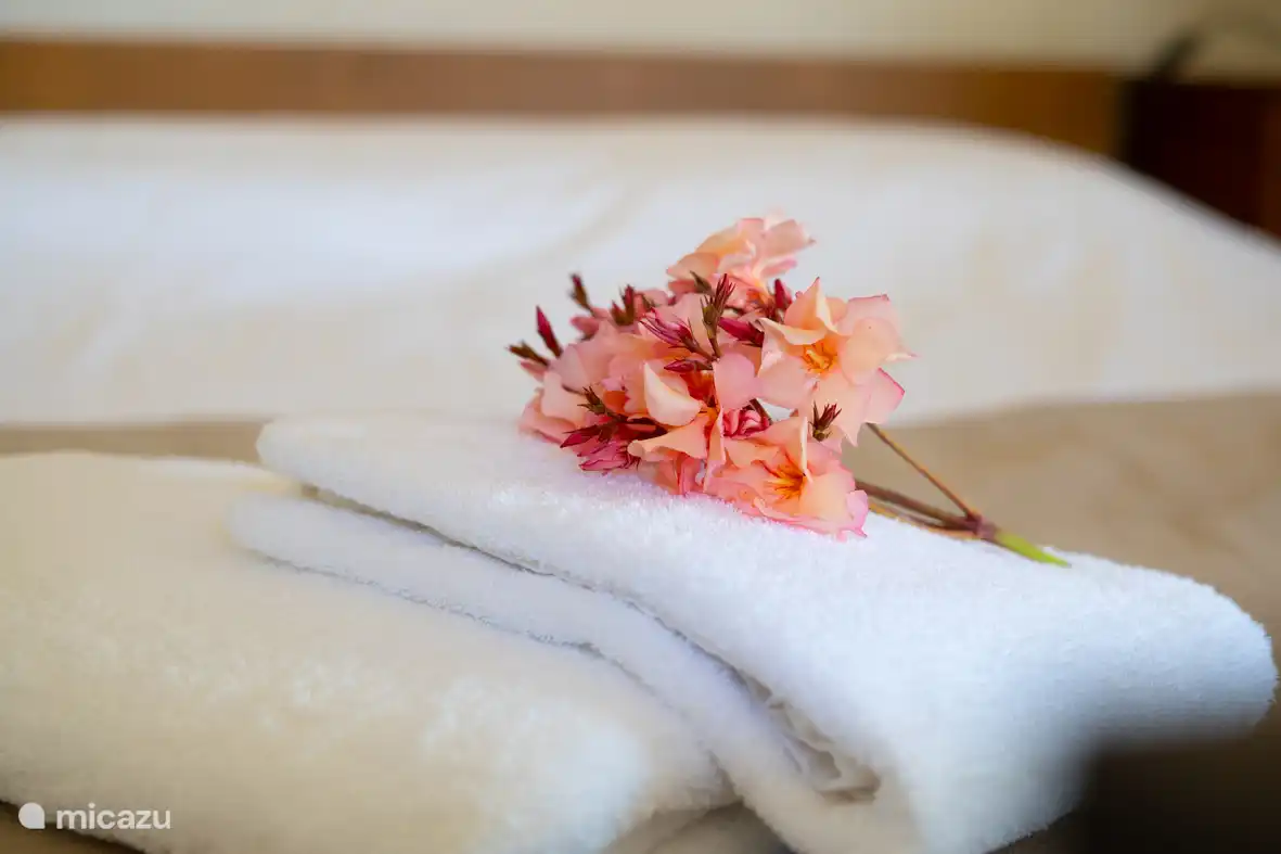 Schwere Qualitätshandtücher 600gr. Sie erhalten Strandtücher, verschiedene Arten von Handtüchern, Küchentücher, Bidettücher und Strandtücher. Wechsel alle drei Tage. Extra auf Anfrage. 