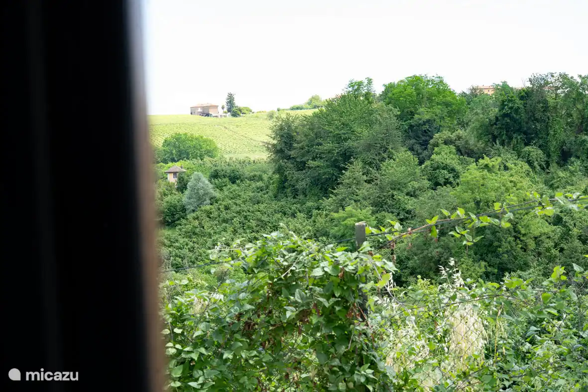 Blick aus dem Küchenfenster
