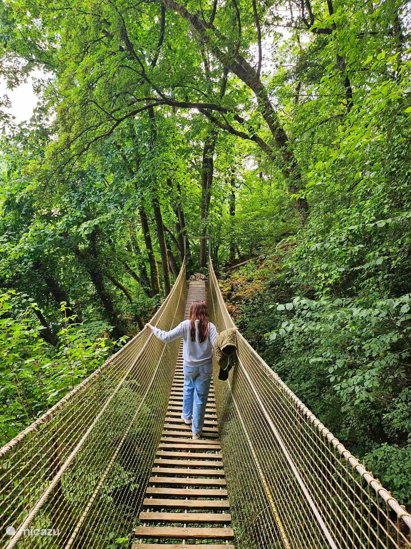 Hangbrug in het bos