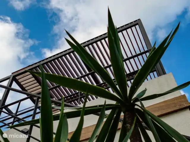 Location de Vacances Espagne, Barcelone, Sant Andreu de Llavaneres , penthouse - Loft sur le domaine – Côte de Barcelone Les boiseries de Jenny