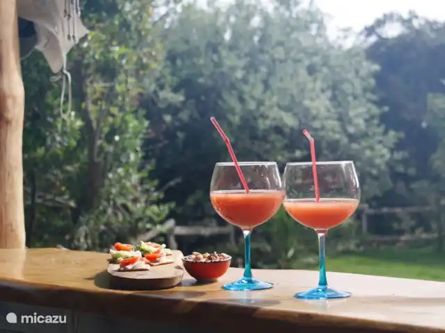Location de Vacances Espagne, Barcelone, Sant Andreu de Llavaneres , penthouse - Loft sur le domaine – Côte de Barcelone avec une boisson