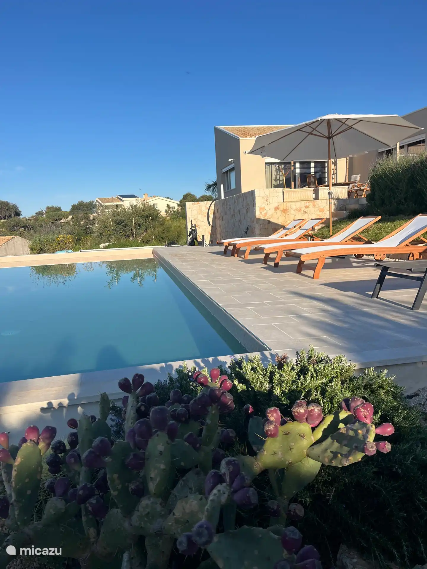 Des chaises longues au bord de la piscine