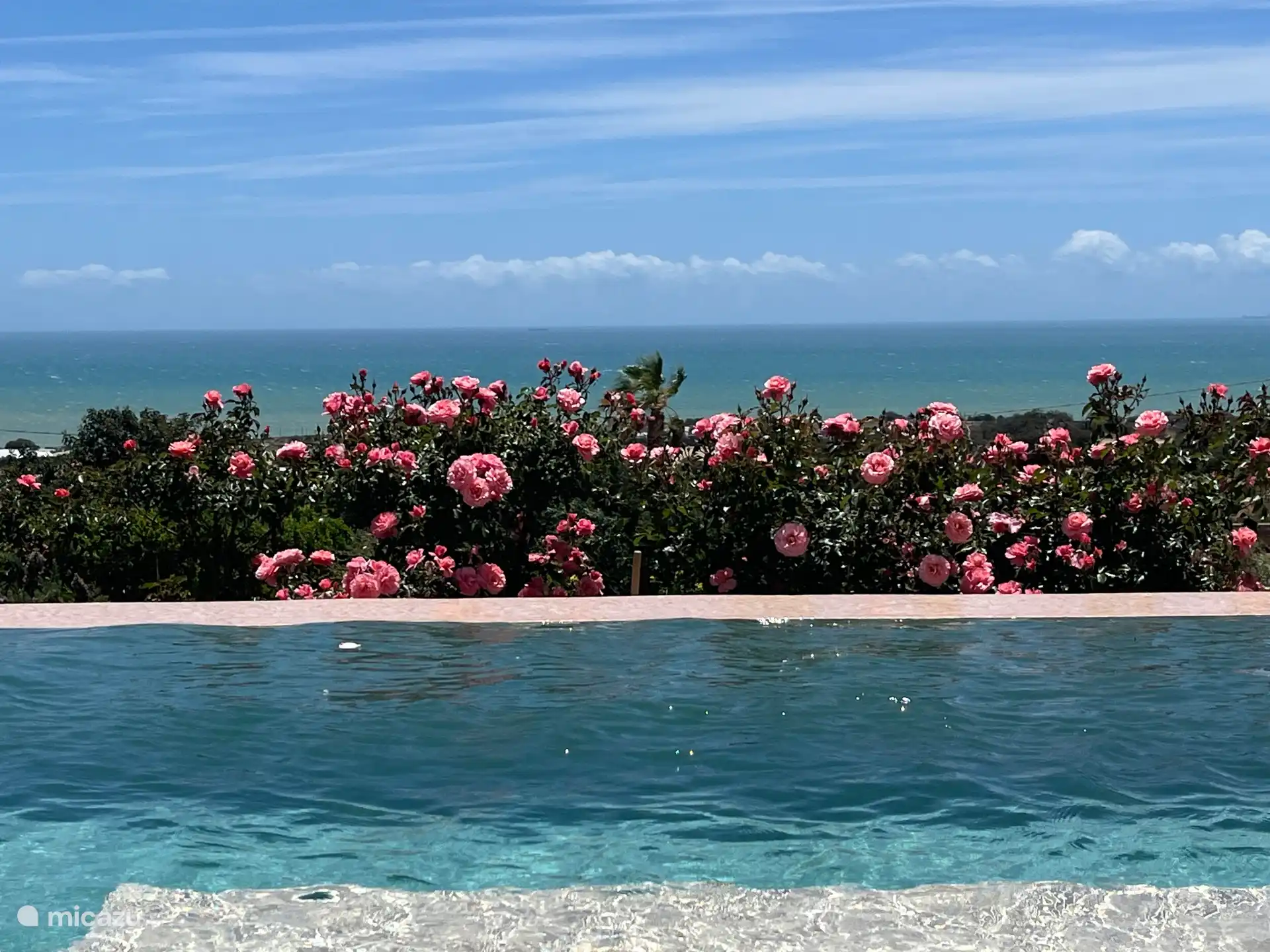 Poolblick im Frühling