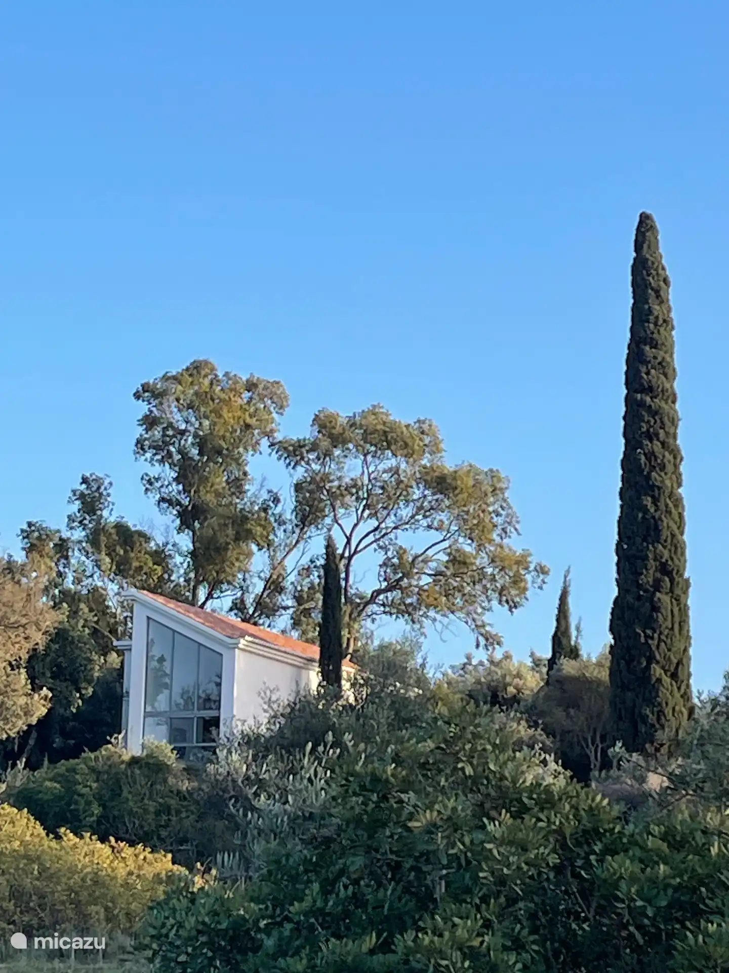 Casa Cipreste surrounded by nature