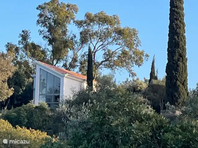 Location de Vacances Portugal, Algarve, Lagoa, villa - Casa Cipreste Casa Cipreste en pleine nature