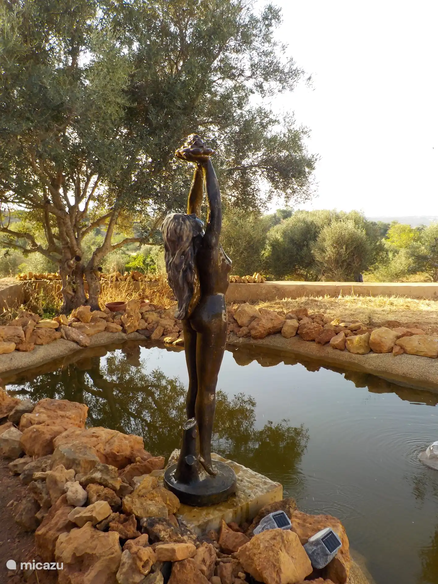 Pond, on site, which attracts many birds, especially in the morning