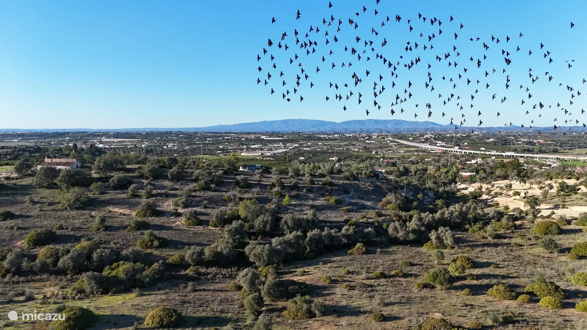 Panoramablik op het berglandschap van Monchique
