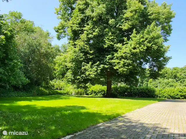 't Koenenhoesie | Pays-Bas, Drenthe, Diever - appartement Vieux tilleul