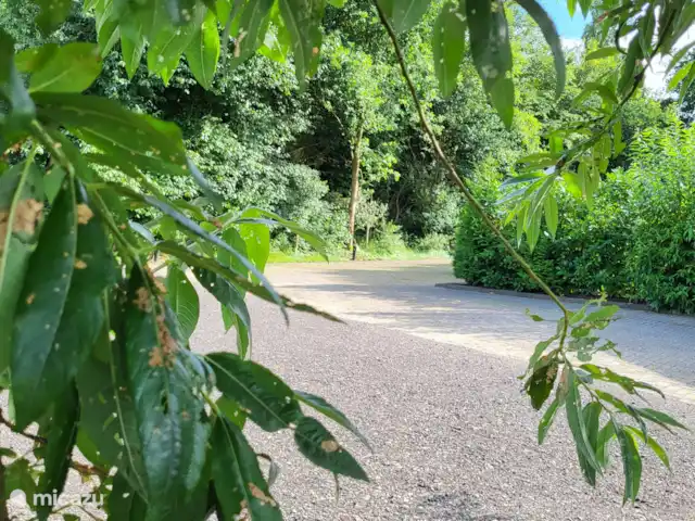 't Koenenhoesie | Pays-Bas, Drenthe, Diever - appartement terrain