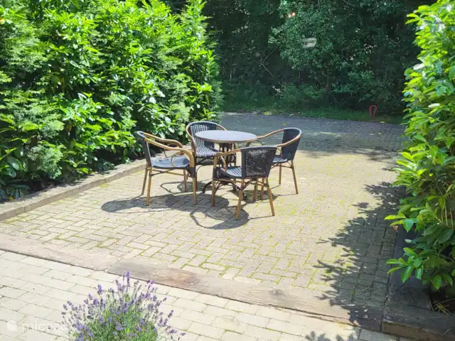 't Koenenhoesie | Pays-Bas, Drenthe, Diever - appartement Jardin avec terrasse