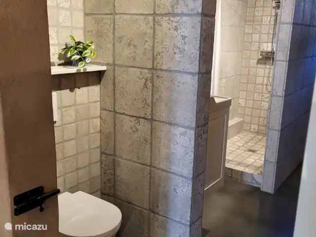 't Koenenhoesie | Pays-Bas, Drenthe, Diever - appartement Salle de bain avec toilettes