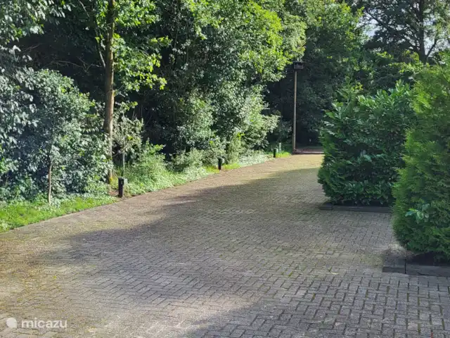 't Koenenhoesie | Pays-Bas, Drenthe, Diever - appartement terrain