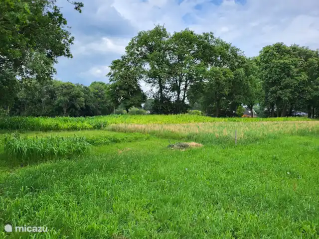 't Koenenhoesie | Pays-Bas, Drenthe, Diever - appartement Terres agricoles adjacentes