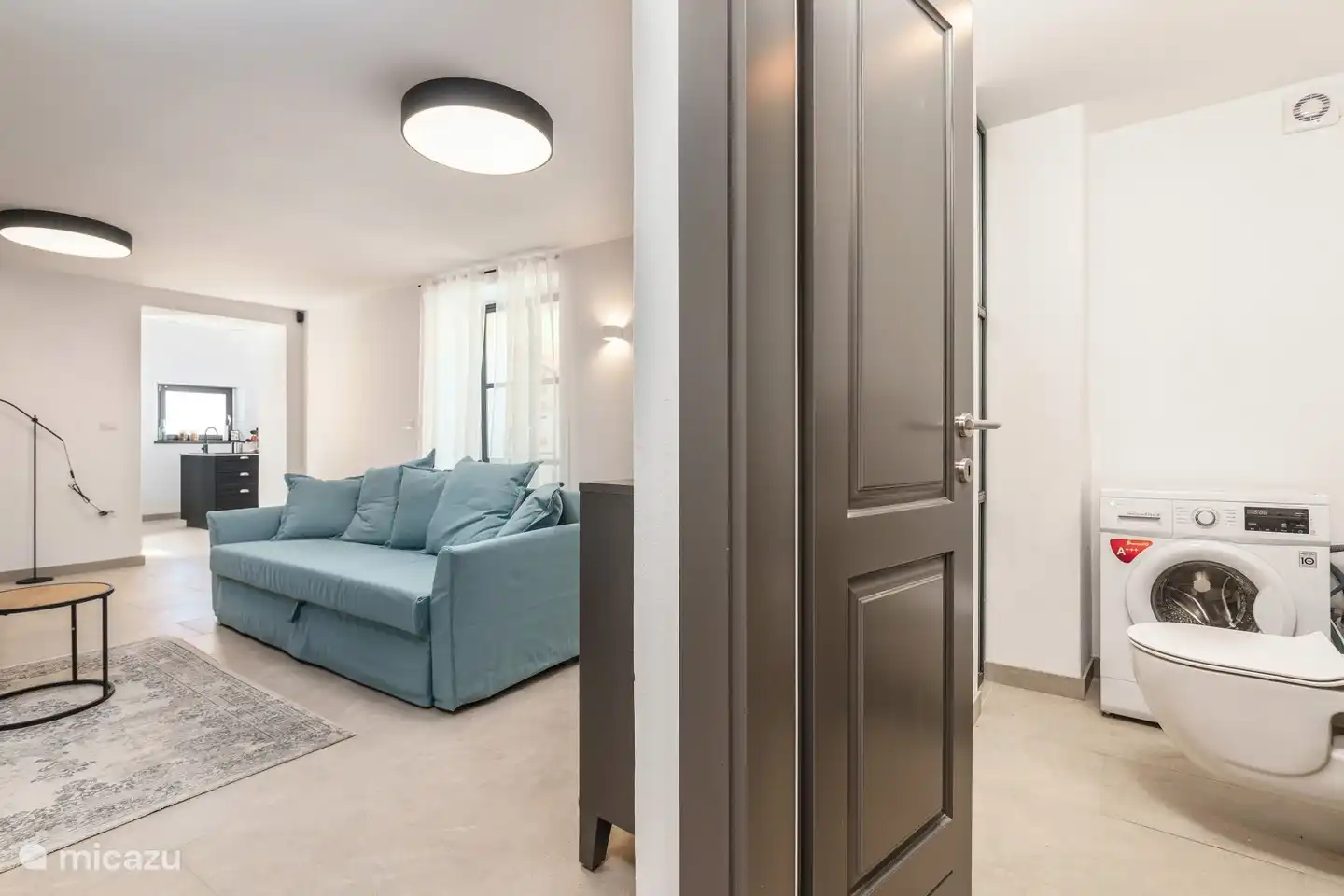 salon, toilettes et machine à laver