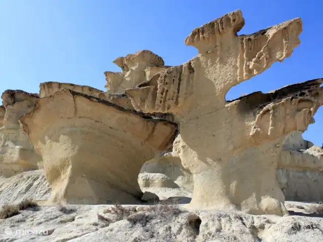 Ponceuse Krijnen | Espagne, Costa Cálida, Alhama de Murcia - appartement Formations rocheuses de Bolnuevo