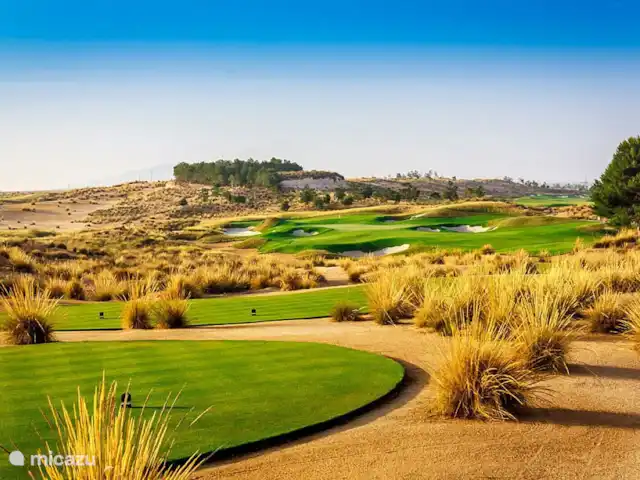 Ponceuse Krijnen | Espagne, Costa Cálida, Alhama de Murcia - appartement Parcours de golf Condado de Alhama conçu par Jack Nicklaus