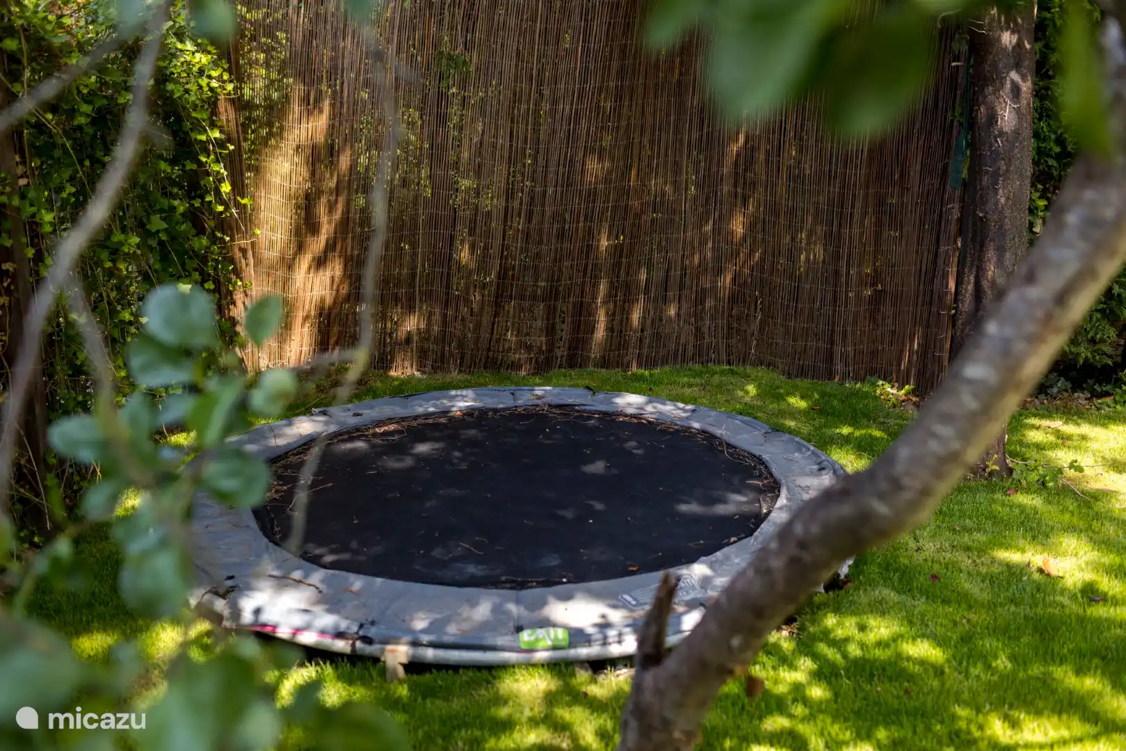 Trampolin im Hinterhof
