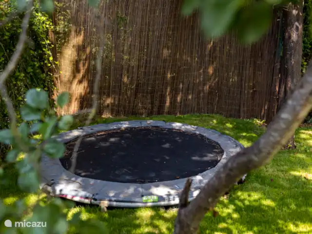 Chalet au bord de la plage avec piscine | Pays-Bas, Zélande, Baarland - bungalow Trampoline dans la cour arrière
