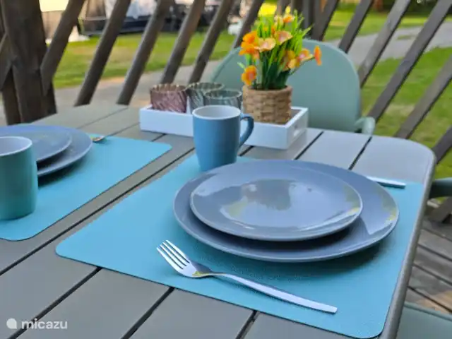 Chalet Felice huren in Nederland, Overijssel, Lattrop - chalet Ook op de veranda is het heerlijk verblijven