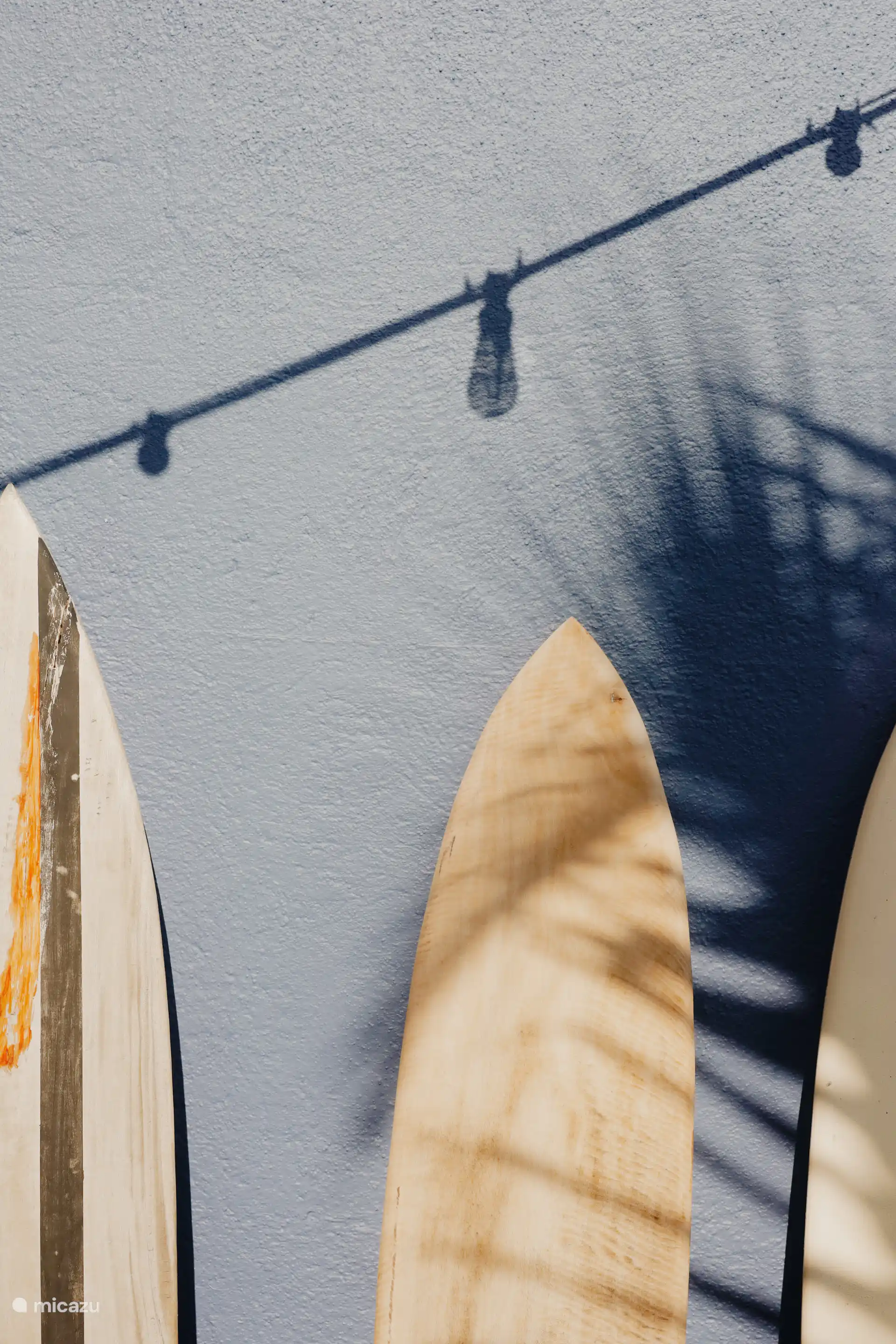 Detalles en el jardín