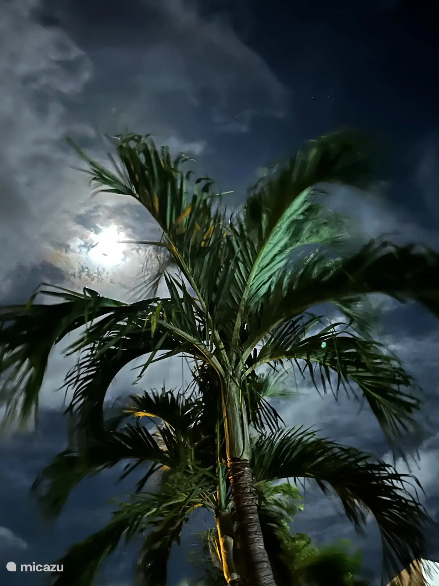 Detalles en el jardín