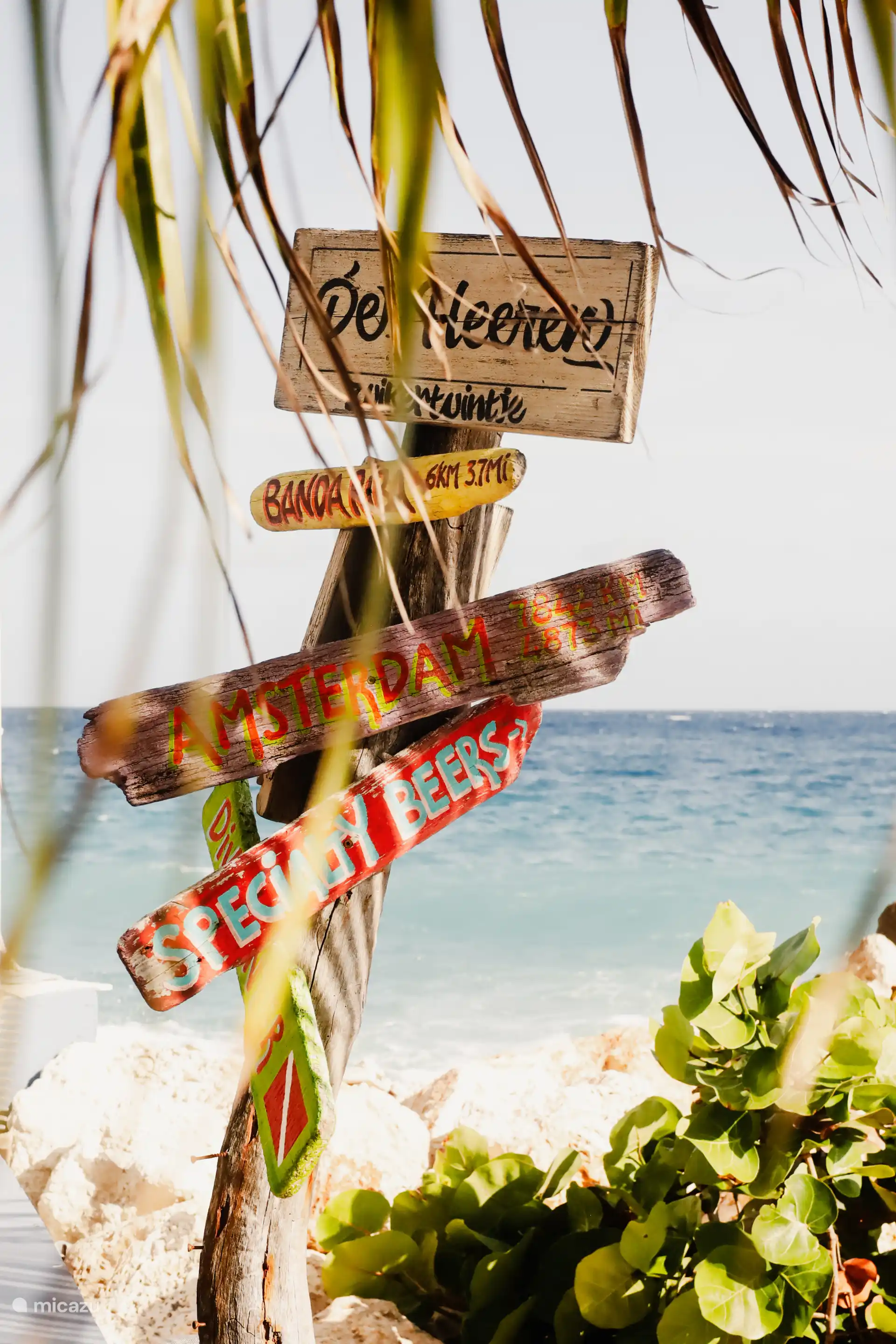 La foto del ambiente de los caballeros