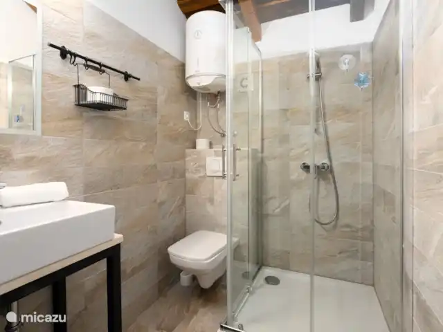 Villa Vinela huren in Kroatië, Istrië, Buje - villa badkamer