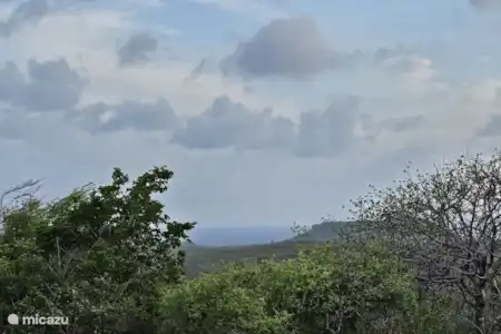 Explore Banda Abou