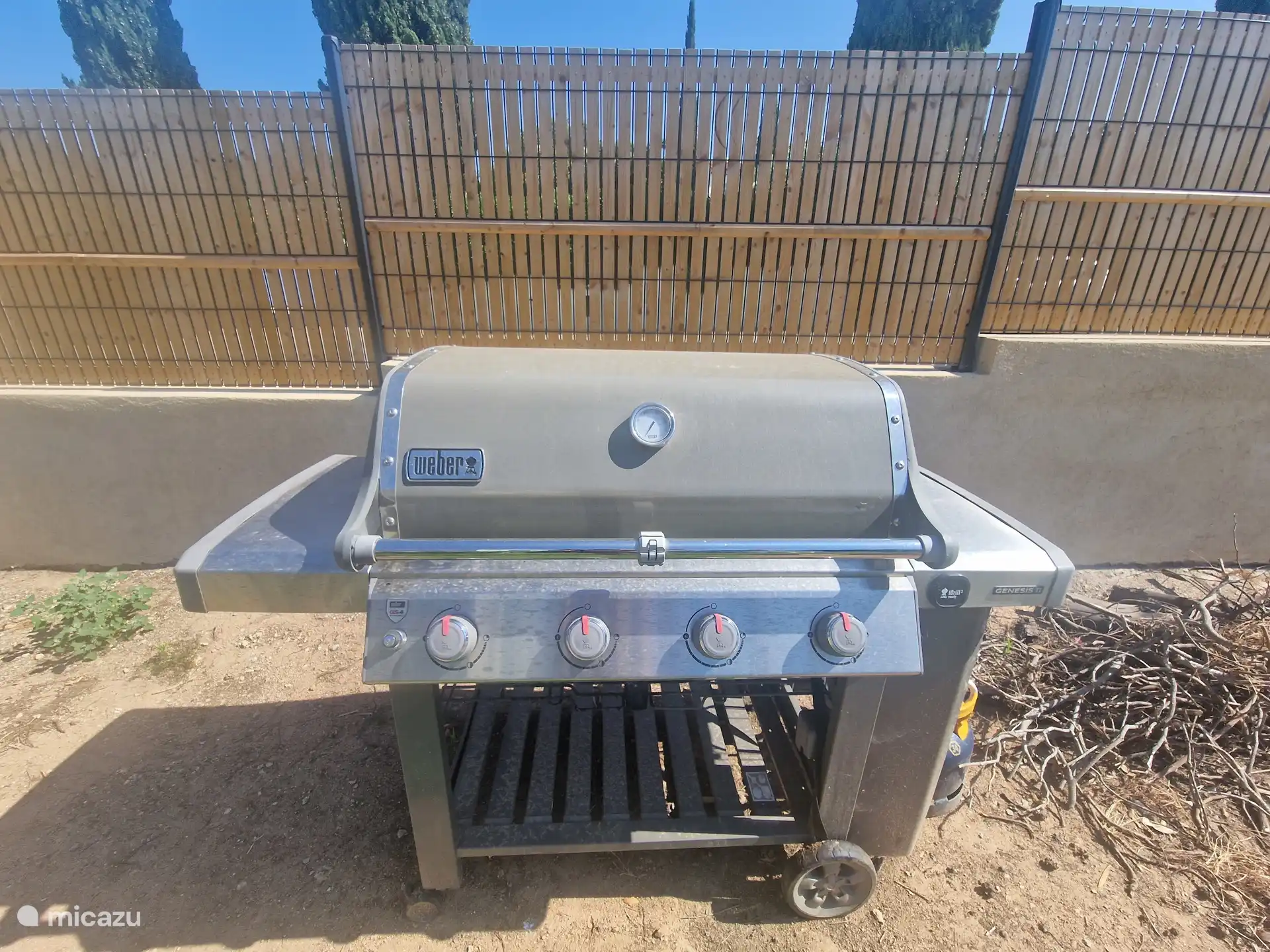 Gasgrill