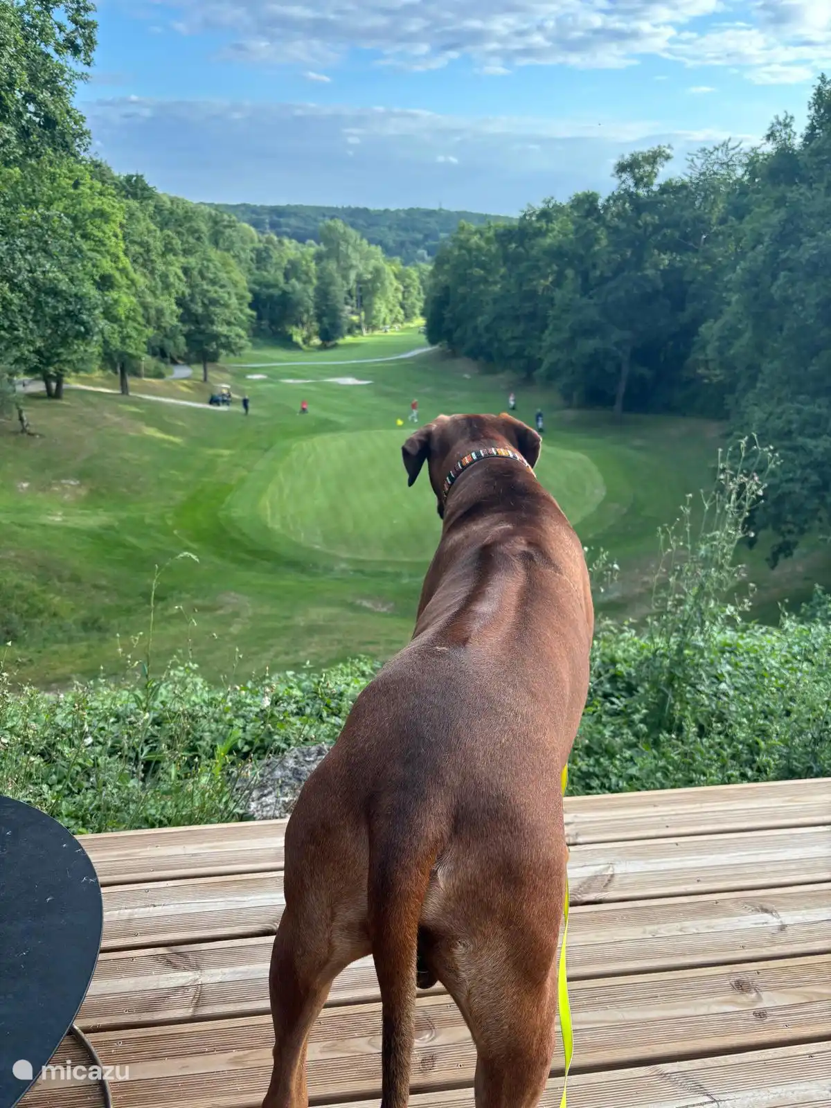 Ideal auch für Golfer und Hunde und deren Besitzer