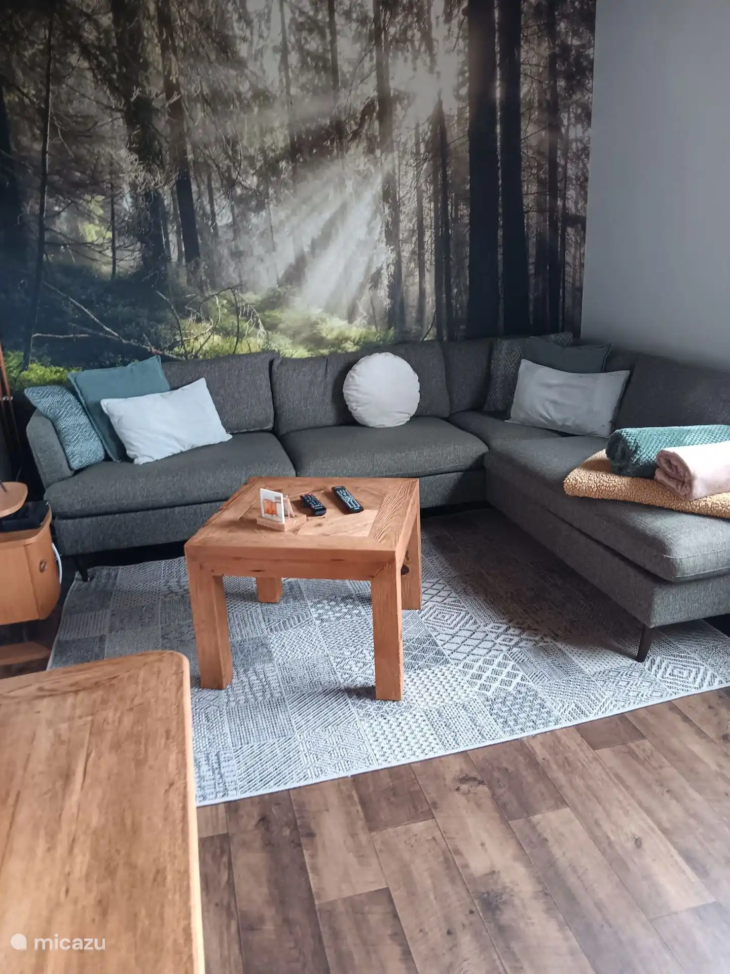 Coin salon dans le salon confortable