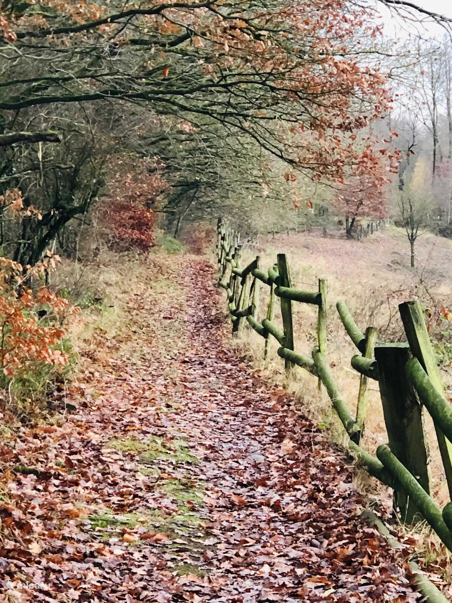 Vivez pleinement l’automne
