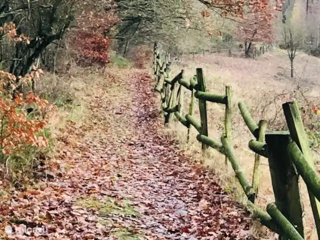 casa vacacional en Alemania, Sauerland, Beverungen – La vista más hermosa Vive el otoño al máximo