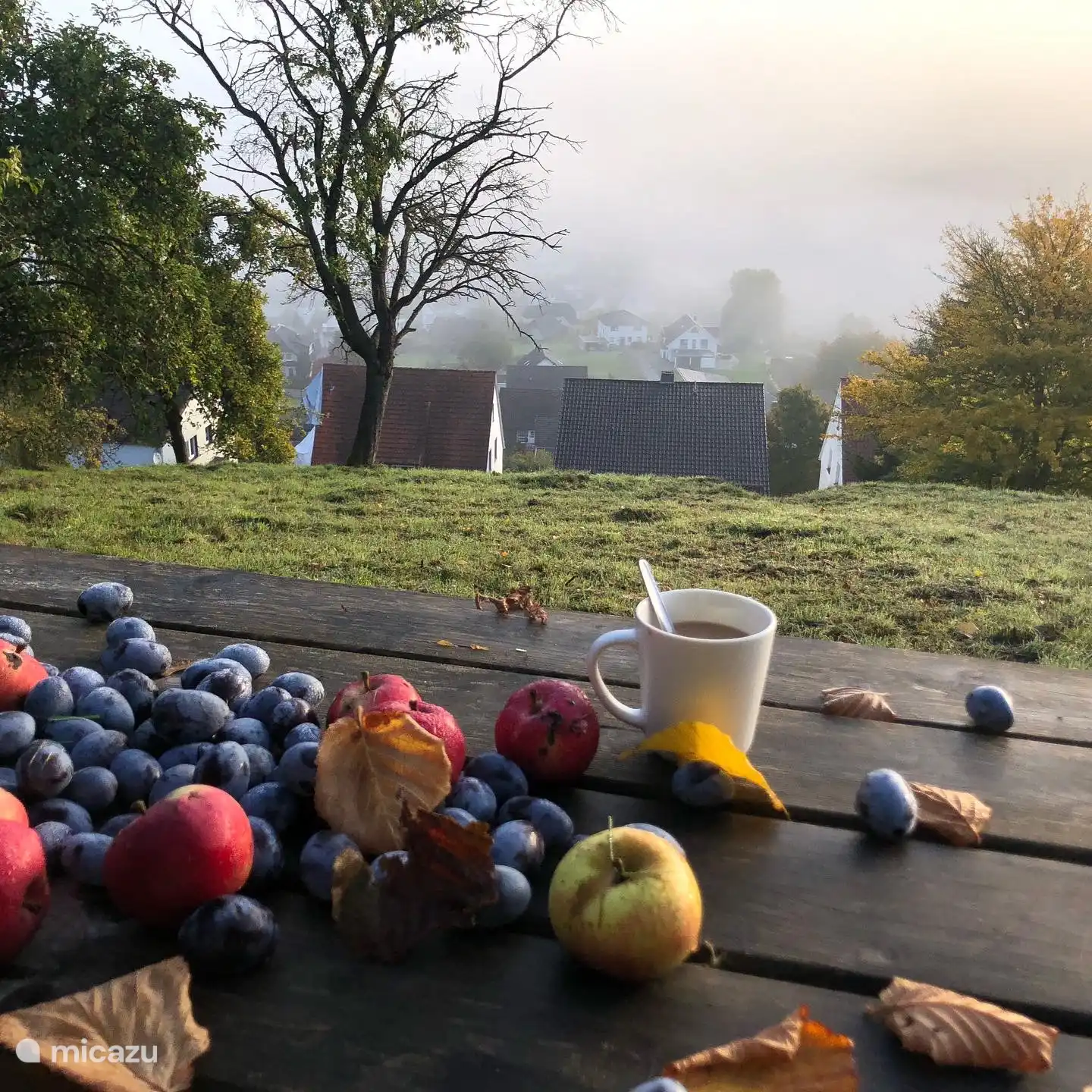 L’aube a de l’or dans la bouche