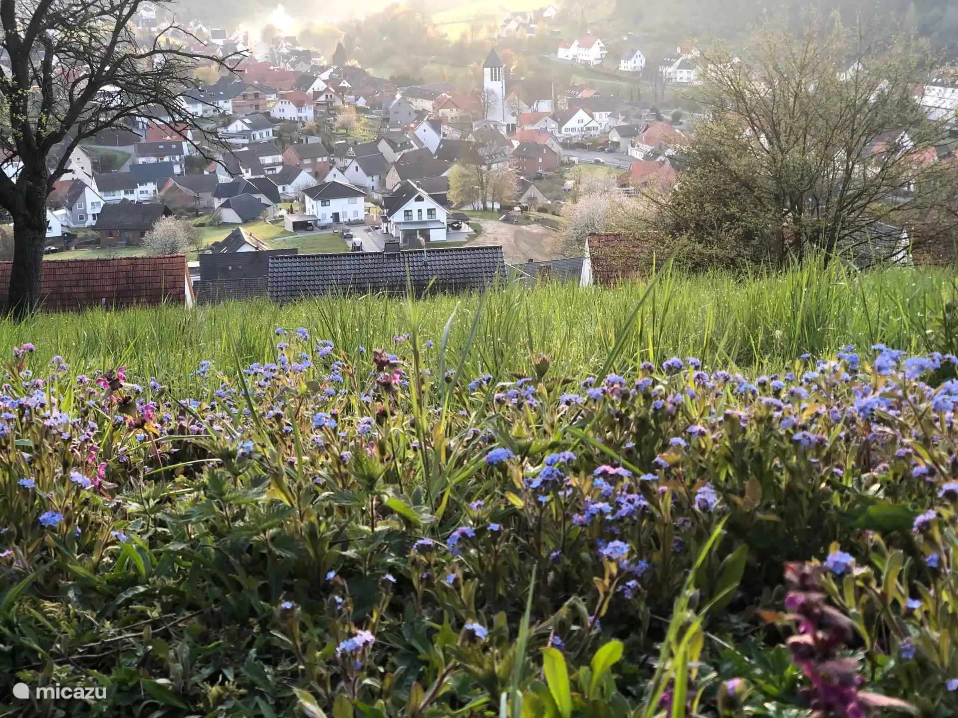 Le printemps au jardin