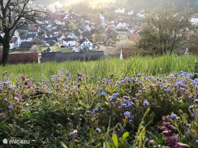 casa vacacional en Alemania, Sauerland, Beverungen – La vista más hermosa Primavera en el jardín