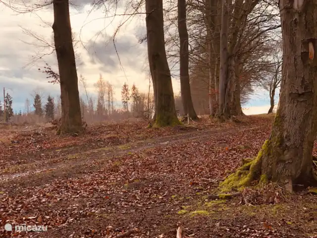 casa vacacional en Alemania, Sauerland, Beverungen – La vista más hermosa Hermosa naturaleza cerca del alojamiento