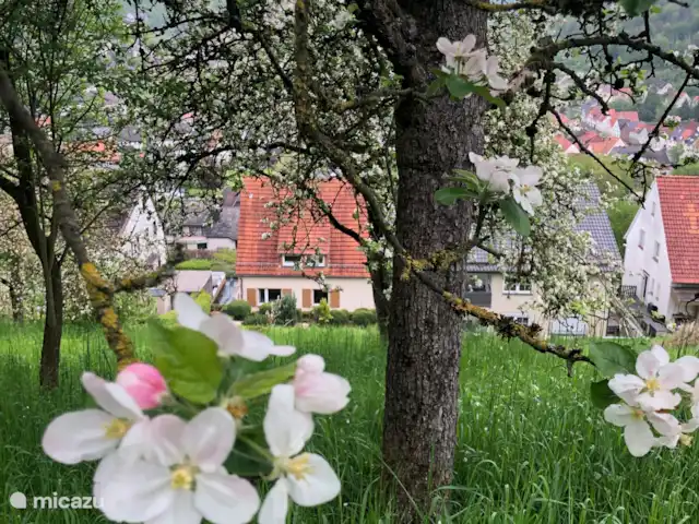 casa vacacional en Alemania, Sauerland, Beverungen – La vista más hermosa casa vacacional en Alemania, Sauerland, Beverungen – La vista más hermosa