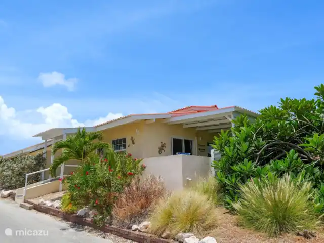 Location de Vacances Curaçao, Banda Ariba (est), Groot Sint Joris, studio - Studio 22 Curaçao L’accès au studio se fait par cinq pas faciles depuis la rue. A l’intérieur et sur la terrasse il se trouve au rez-de-chaussée.