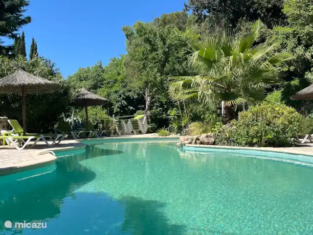 DOMAINE DE ST. AMOUR / LA CASA RURAL en Francia, Var, Trans-en-Provence - casa rural / cabaña Gran piscina ajardinada con playa