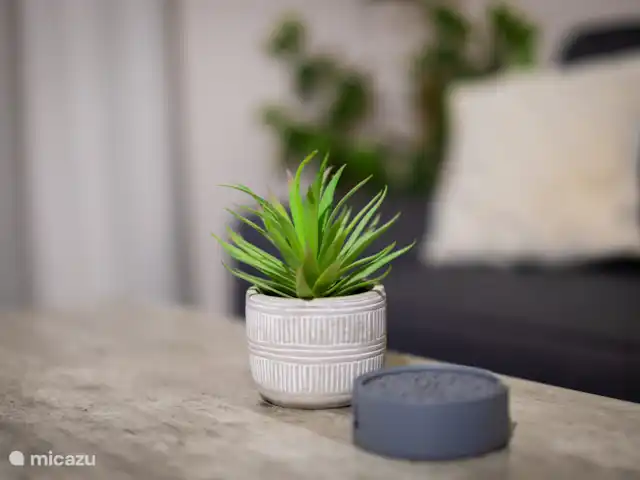 Location de Vacances Curaçao, Banda Ariba (est), Mambo Beach, appartement - Central 2BR Apt - 10 minutes Mambo Bch Salon