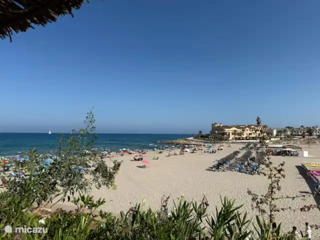 Casa Mariposa huren in Spanje, Costa Blanca, San Miguel de Salinas - penthouse La Zenia beach