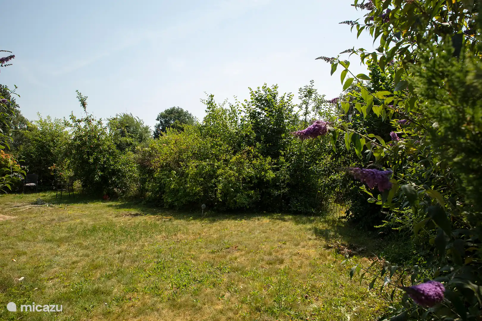 Nous ne tondons pas toujours le jardin pour que les insectes aient assez à manger 