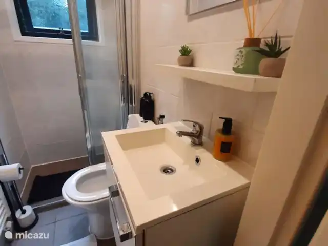 Location de Vacances Pays-Bas, Gueldre, Voorthuizen, maison de vacances - Chalet Voorthuizen
