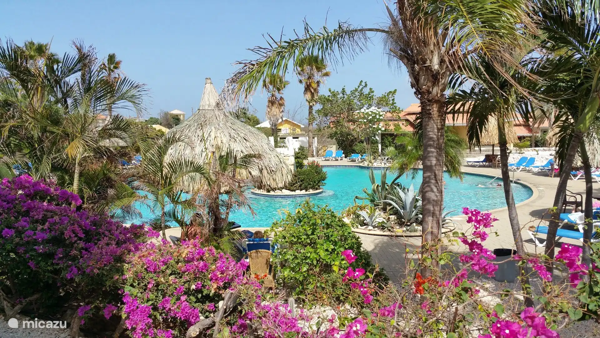 Das tropische Schwimmbad