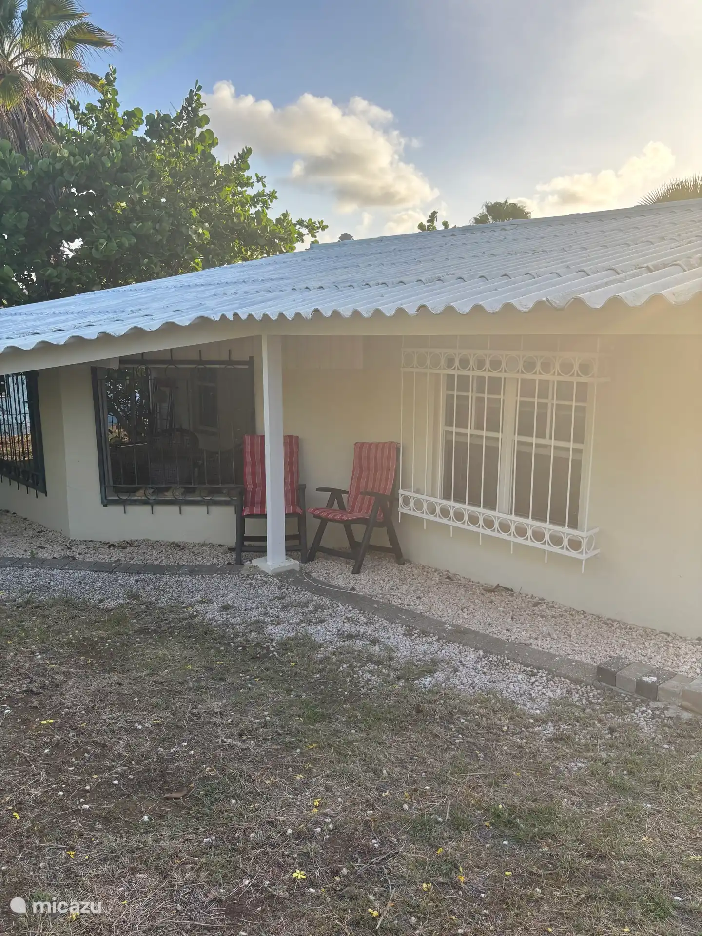 Setzen Sie sich gemütlich in den Garten mit Blick auf tropische Blumen und Pflanzen