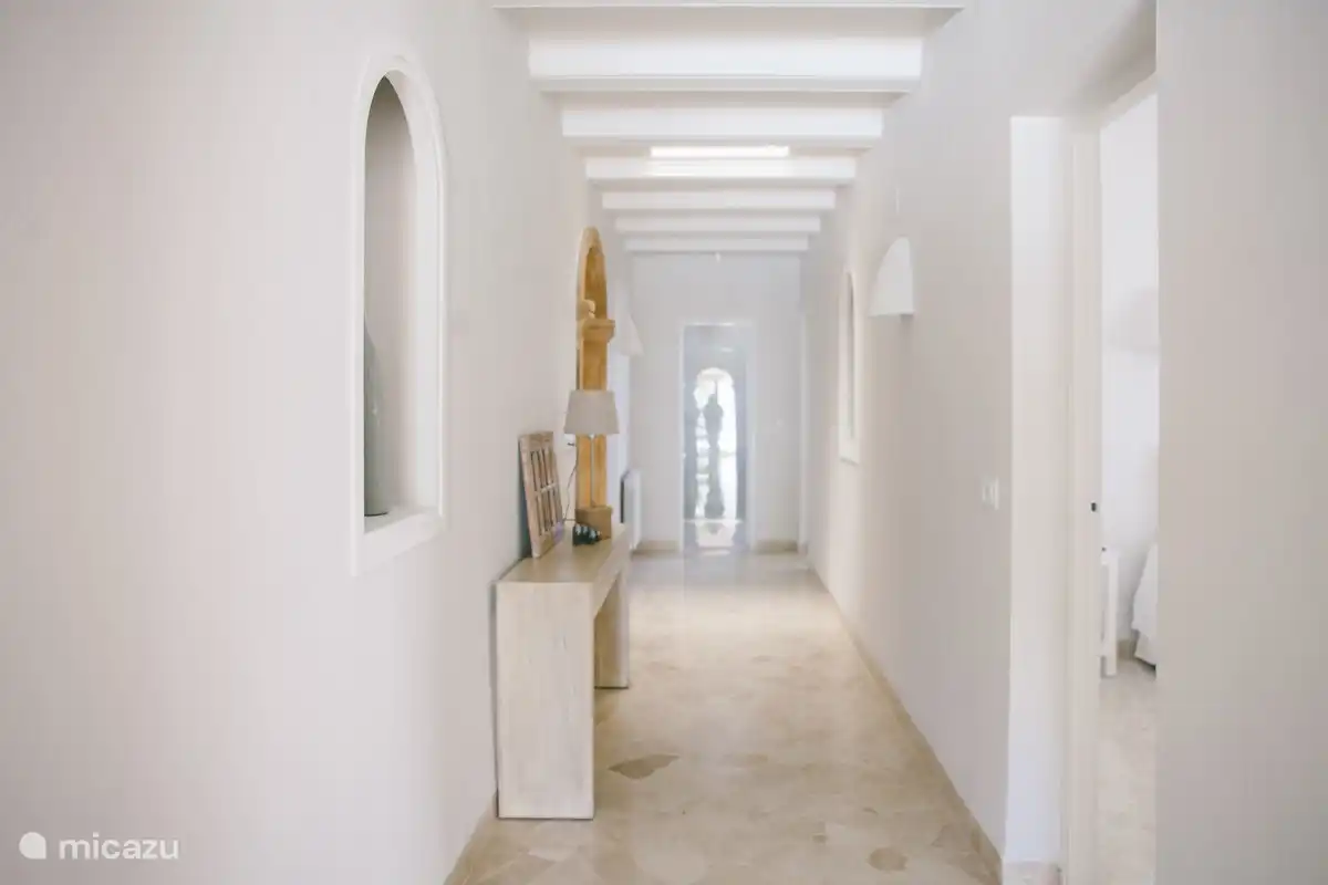 There are mosquito nets in front of all windows throughout the villa.